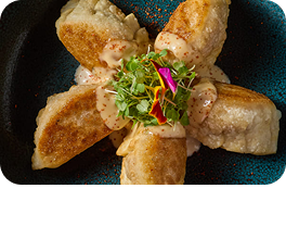 APPETIZERS